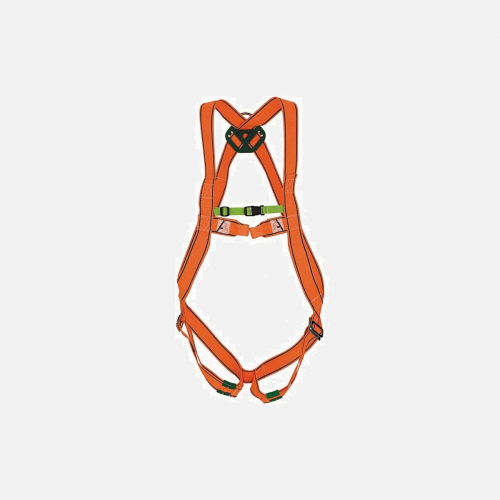 30-C Standard harness - One Size