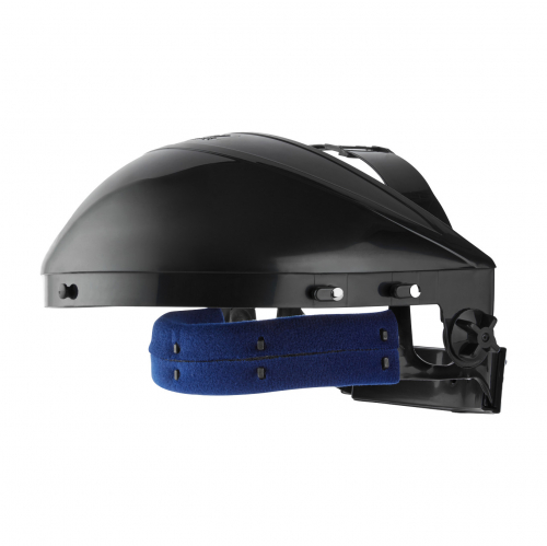 Riley REON Browguard